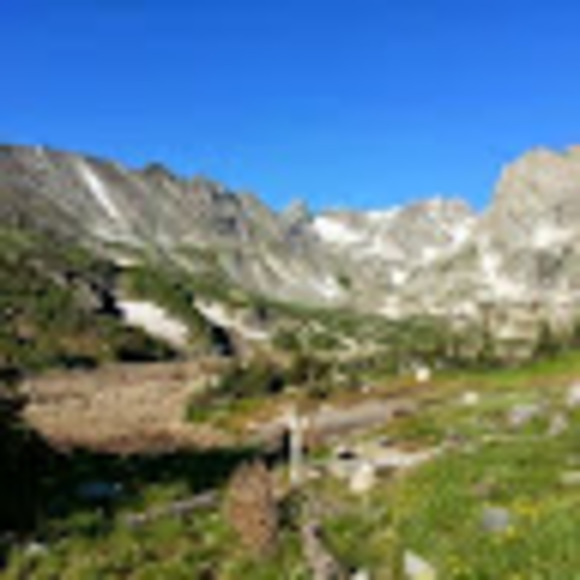 Meet your Posher, Stuart - Picture 1 of 1